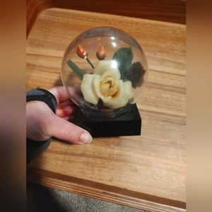 Vintage floral flower dome / globe / glass display